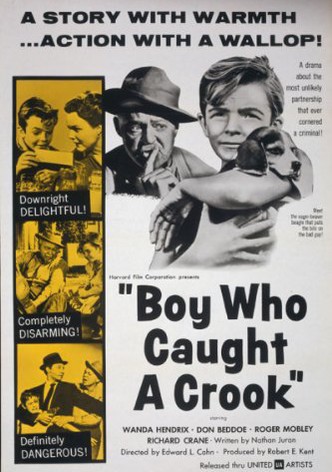 Boy Who Caught a Crook
