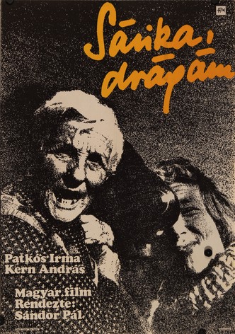 Sárika, drágám