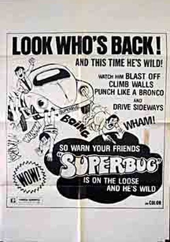 The Love Bug Rally