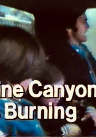 Pine Canyon Is Burning