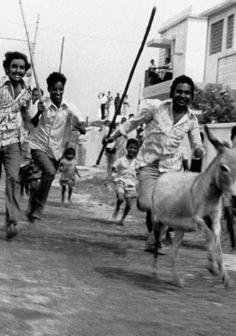 Donkey in a Brahmin Village