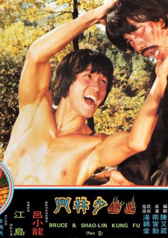 Bruce and Shaolin Kung Fu part 2