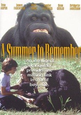 Un verano para recordar