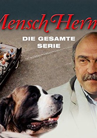 Mensch Hermann