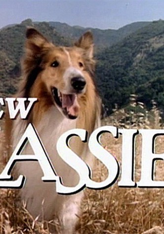 Les nouvelles aventures de Lassie