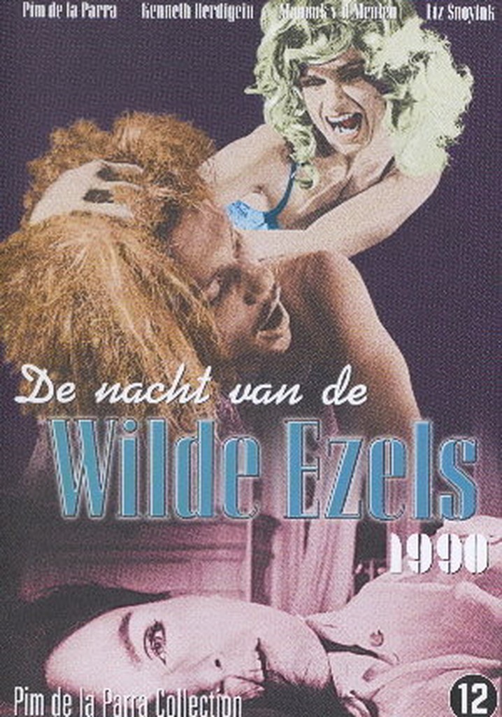 The Night of the Wild Donkeys