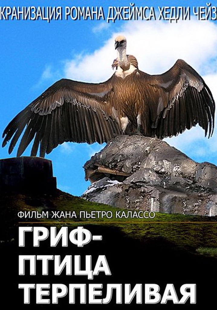 The Vulture Is a Patient Bird