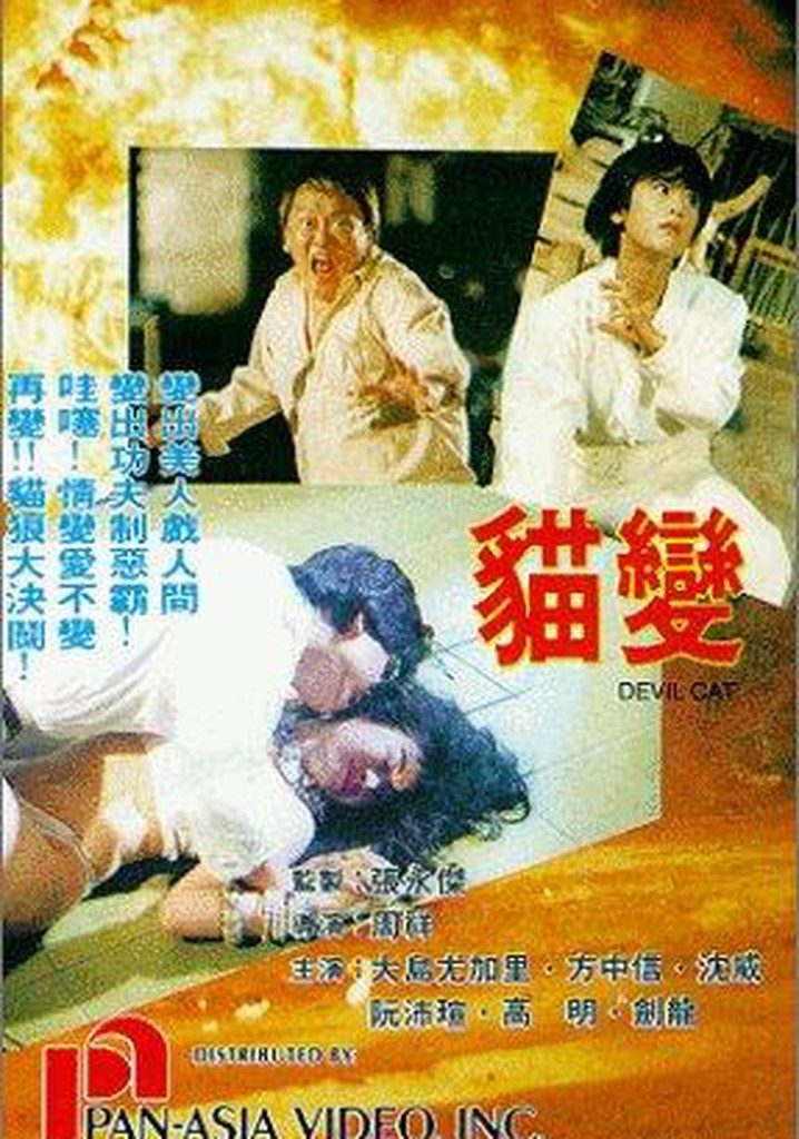 Devil Cat