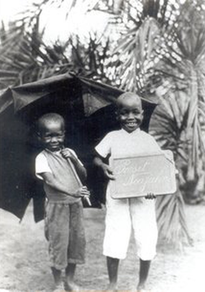 Africa, I Will Fleece You