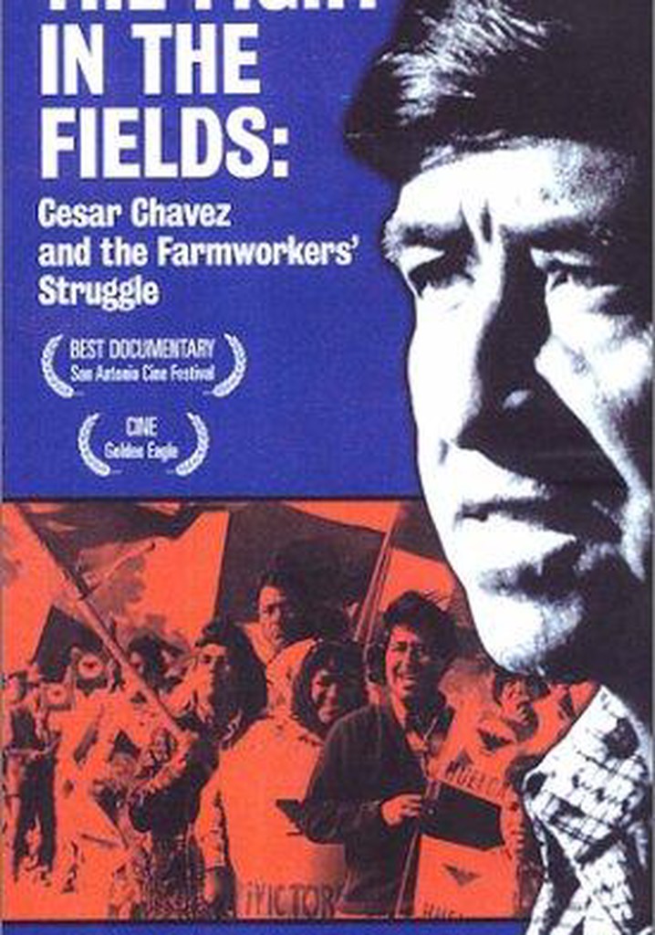 The Fight in the Fields