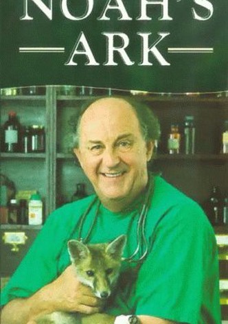 Noah's Ark
