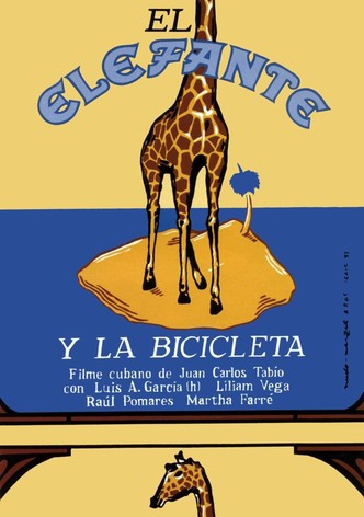 The Elephant and The Bicycle