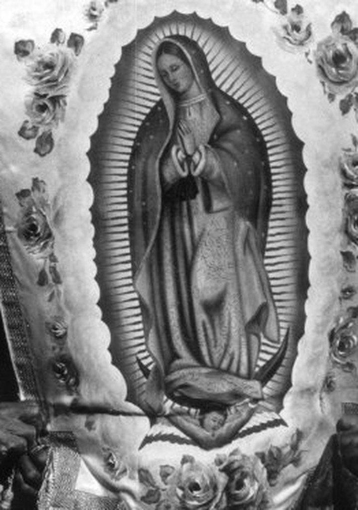 A Long Journey to Guadalupe