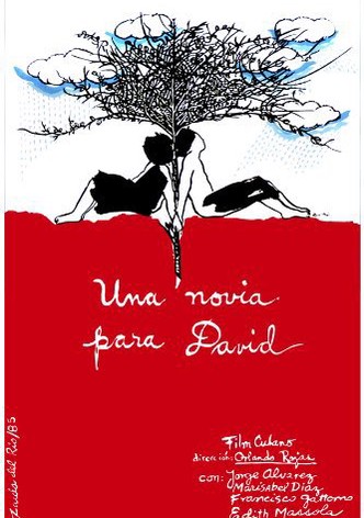 Una novia para David