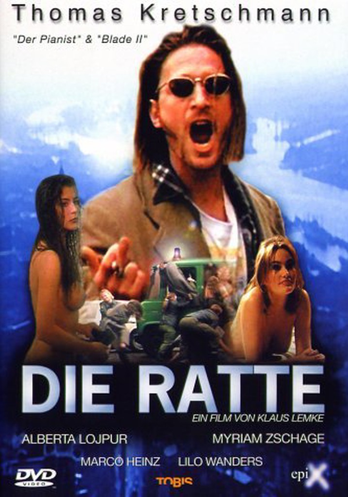 Die Ratte