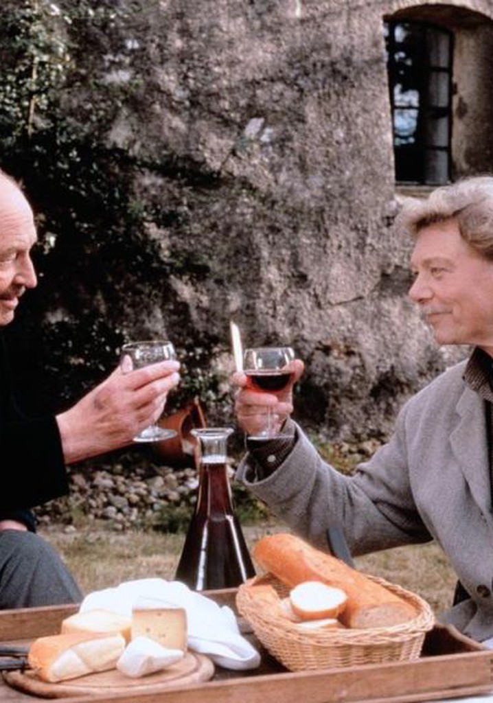 Der kleine Dachschaden