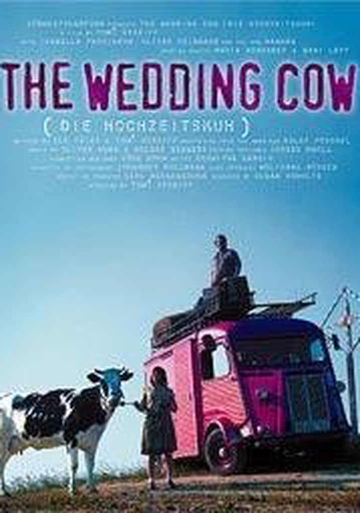 The Wedding Cow