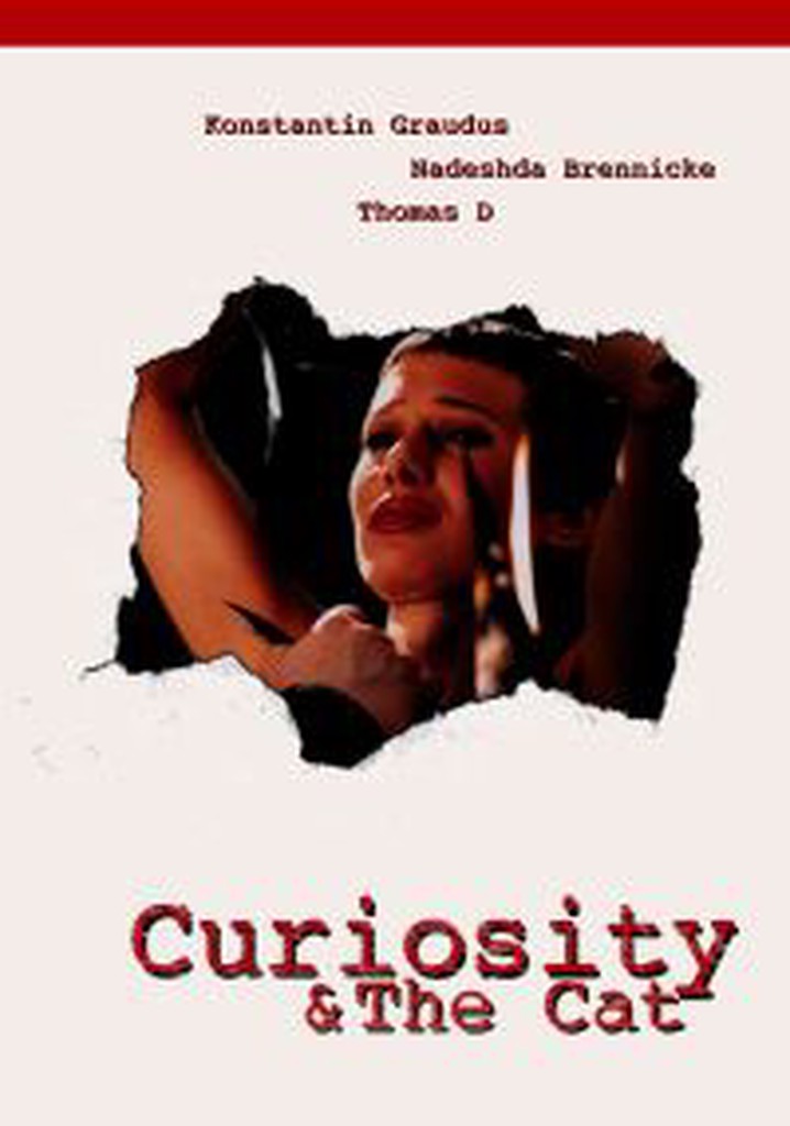 Curiosity & the Cat