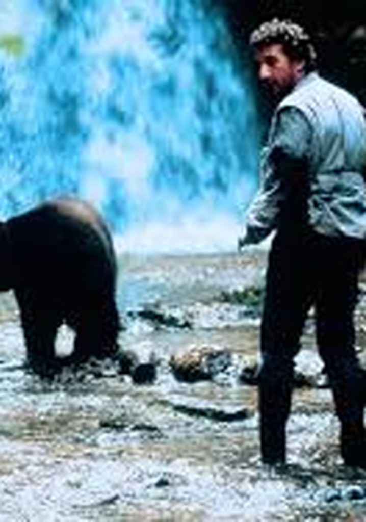 Ein Bär für alle Fälle