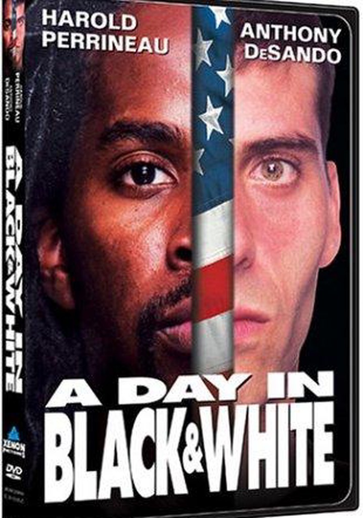 A Day in Black and White