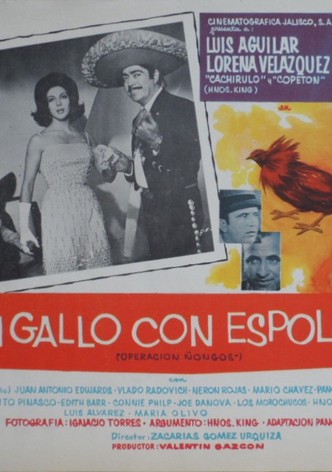 Un gallo con espolones (Operación ñongos)