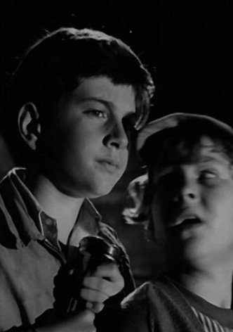 Mystery in the Mine