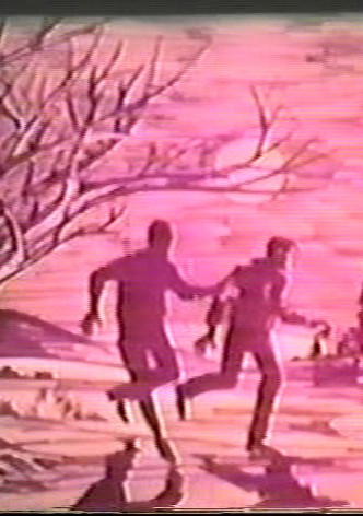 The Hardy Boys: The Mystery of the Chinese Junk