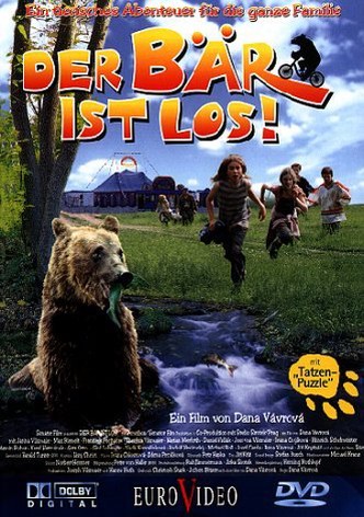 Bear on the Run