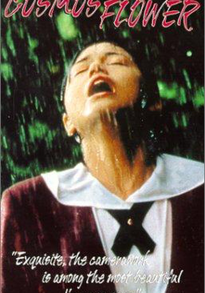 Remembering the Cosmos Flower