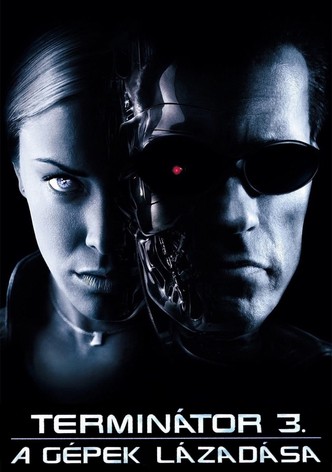 Terminátor 3. - A Gépek lázadása