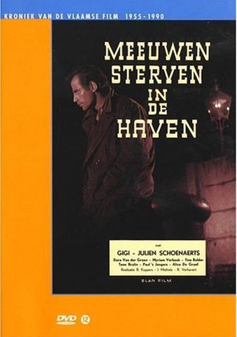 Meeuwen Sterven In De Haven