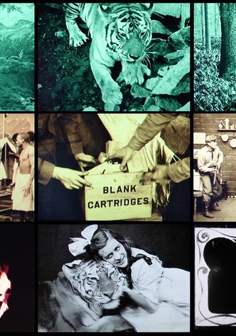 Beasts of the Jungle