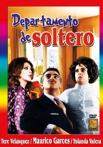 Departamento de soltero