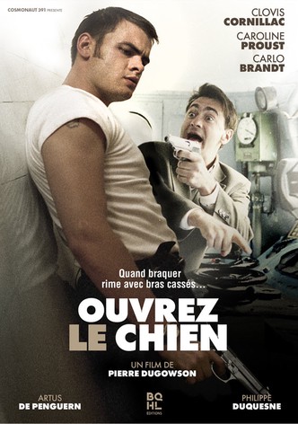 Ouvrez le chien