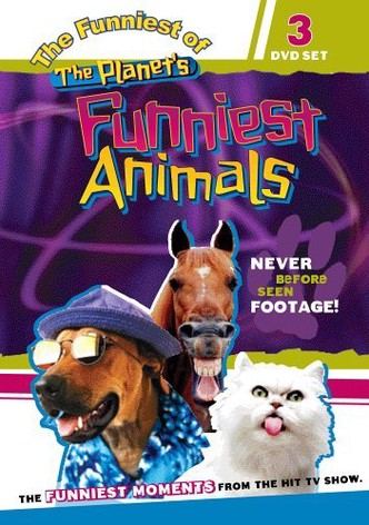 The Planet's Funniest Animals