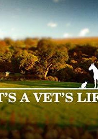 It's a Vet's Life