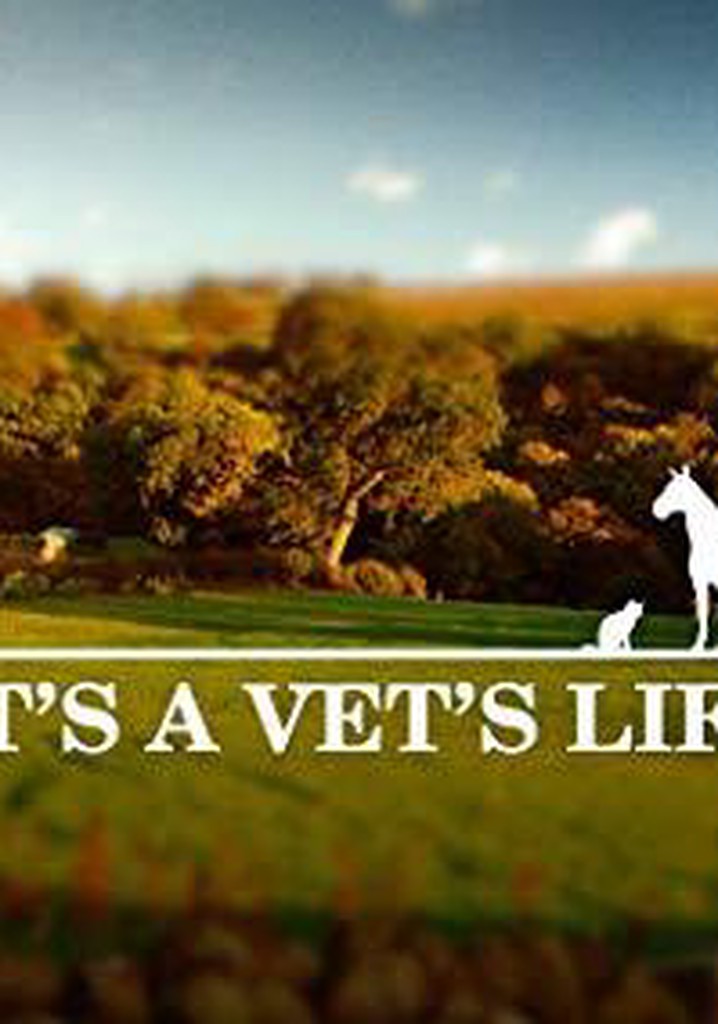 It's a Vet's Life streaming tv show online