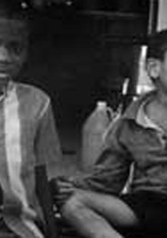 LaLee's Kin: The Legacy of Cotton