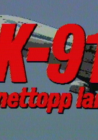 SK-917 har nettopp landet..