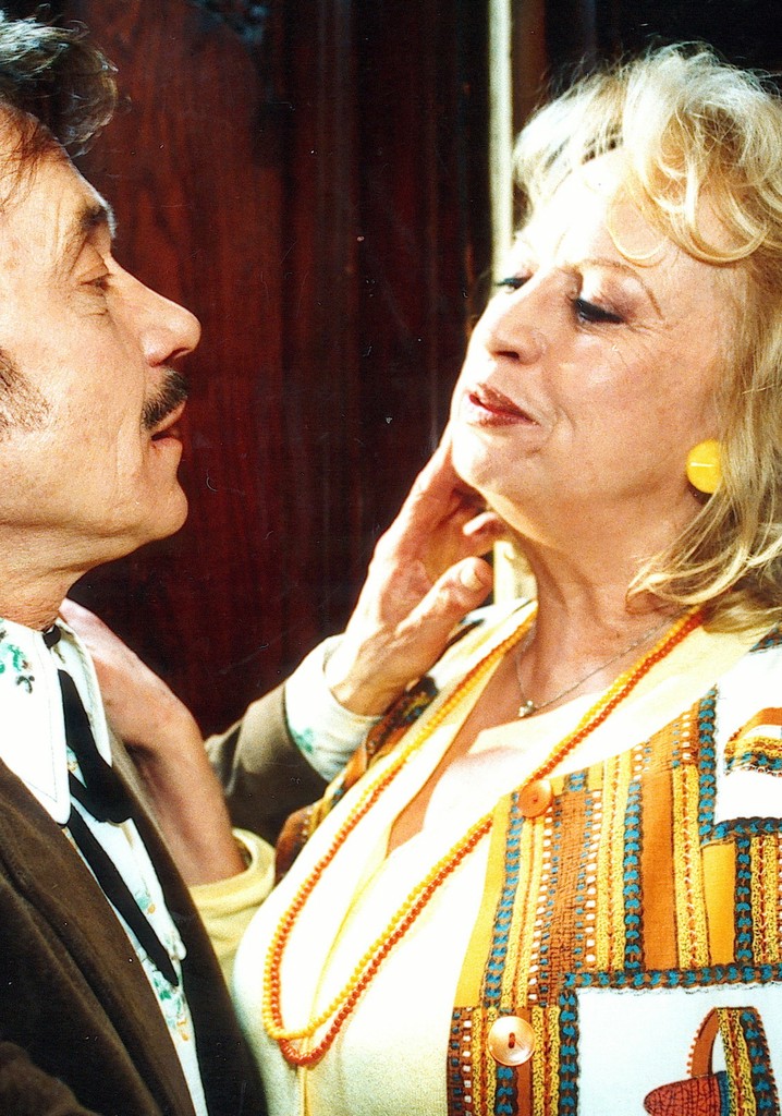 Die Hunde sind schuld