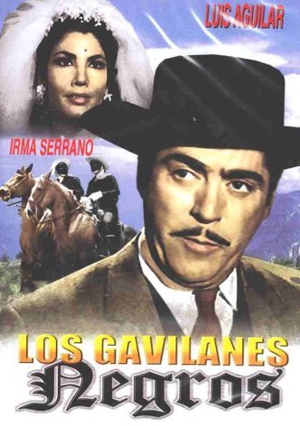 Los gavilanes negros