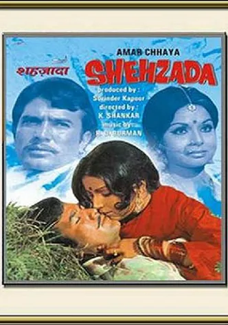 Shehzada poster