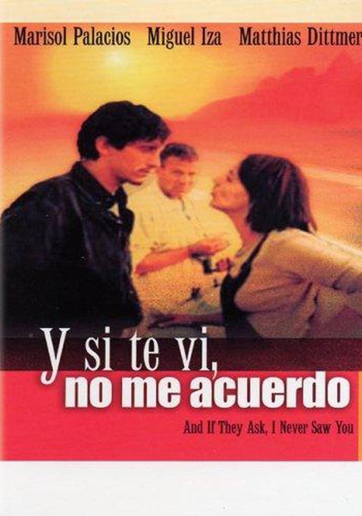 Y si te vi, no me acuerdo