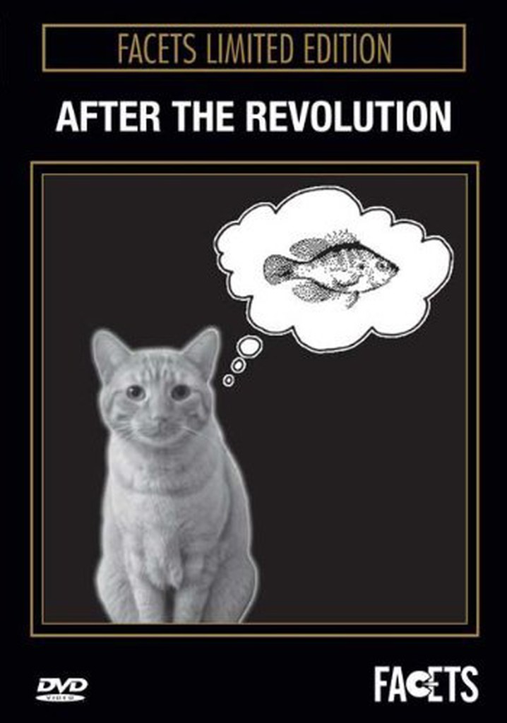 After The Revolution