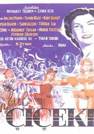 Istanbul çiçekleri