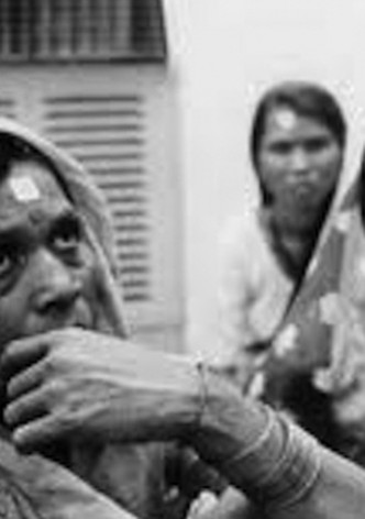 Something Like a War