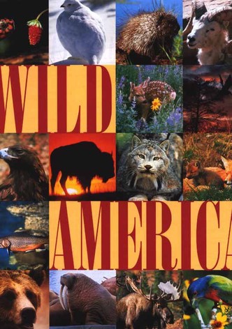 Wild America