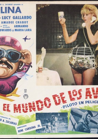 The World of Airplanes