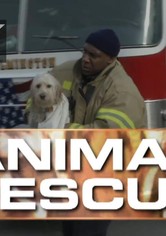 Animal Rescue