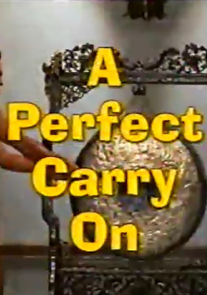 A Perfect Carry On